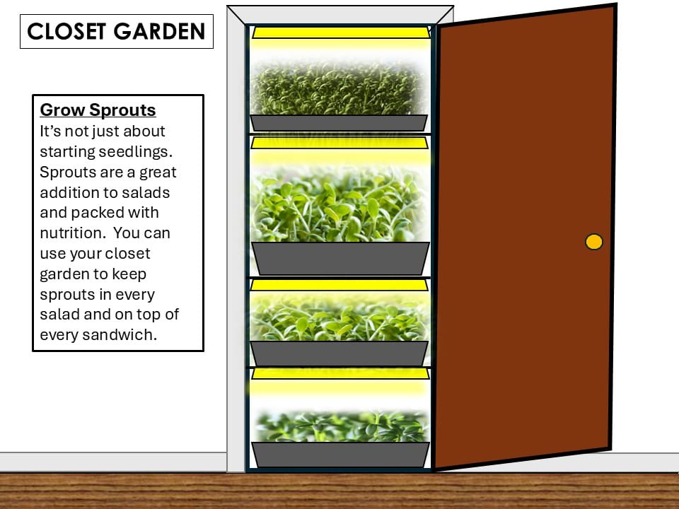 sprouts closet farming