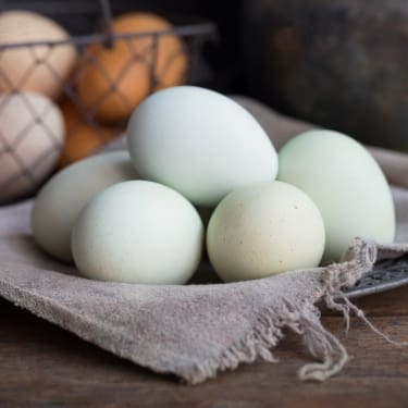 basket of blue eggs
