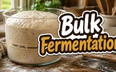Bulk Fermentation: The Complete Homesteader’s Guide to Getting It Right Every Time