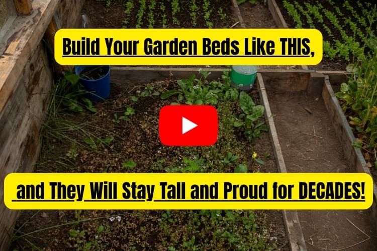 Build Your Garden Beds Like THIS, and They Will Stay Tall and Proud for DECADES! NGP photo of special garden bed
