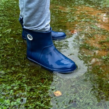 water pooling in the garden
