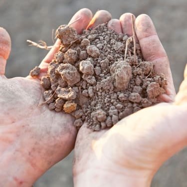 hands holding dry soil