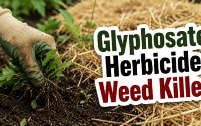 Glyphosate Herbicide Weed Killer – What You Need to Know