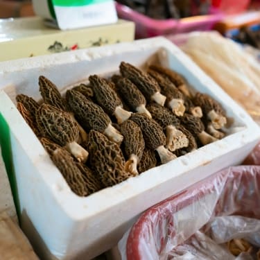 box full of morels 