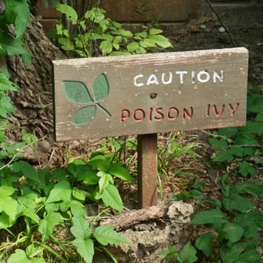 sign with caution poison ivy