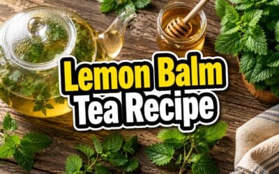 Lemon Balm Tea Recipe: How to Make It Fresh, Dried, or Cold Brewed