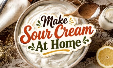 How to Make Sour Cream at Home – Simple, Reliable, and Better Than Store-Bought