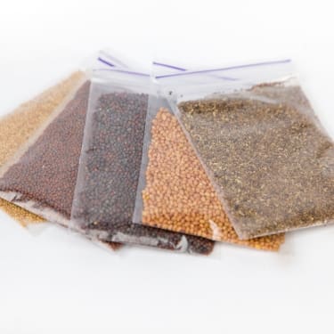 little bags of seeds 