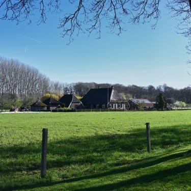 picture of a beautiful lawn