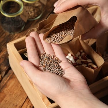 seed stockpile photo