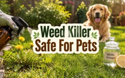 Weed Killer Safe for Pets – The Complete Guide to Pet-Friendly Weed Control