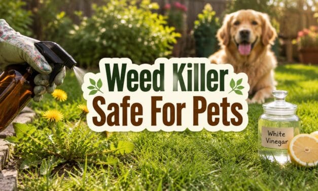 Weed Killer Safe for Pets – The Complete Guide to Pet-Friendly Weed Control