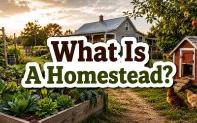 What Is a Homestead? The Complete Guide to Starting and Living the Homesteading Life
