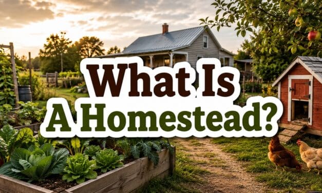 What Is a Homestead? The Complete Guide to Starting and Living the Homesteading Life