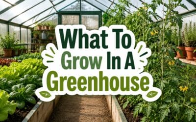 What to Grow in a Greenhouse – A Complete Homesteader’s Guide to Year-Round Production