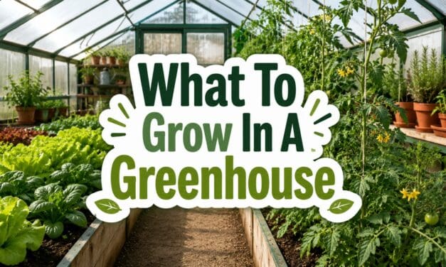 What to Grow in a Greenhouse – A Complete Homesteader’s Guide to Year-Round Production