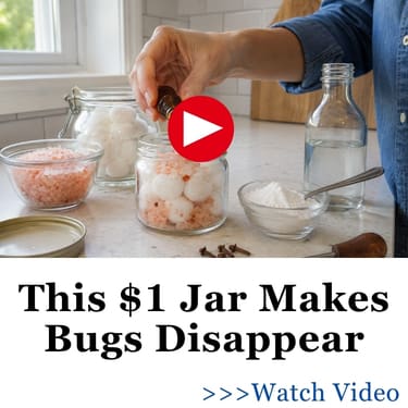 $1 jar makes bugs disappear
