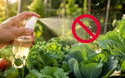 DIY White Oil for Your Homestead