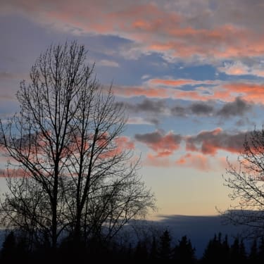 dusk