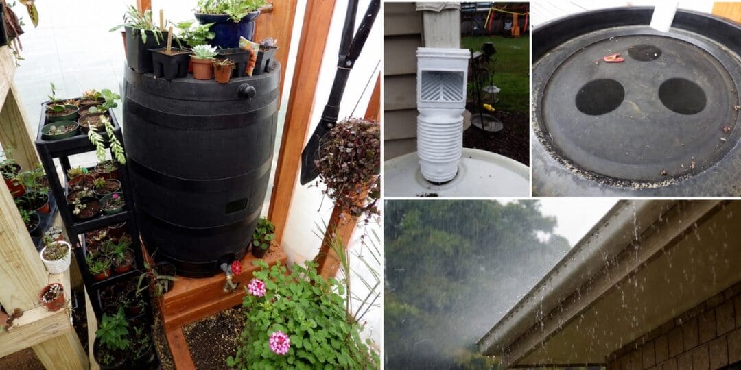 How to Build a DIY Rainwater Collector