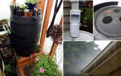 How to Build a DIY Rainwater Collector
