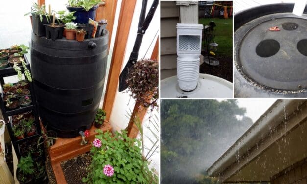 How to Build a DIY Rainwater Collector