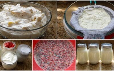 How to Make Homemade Greek Yogurt