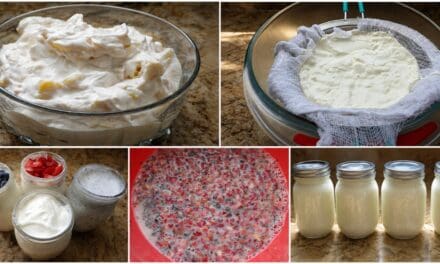 How to Make Homemade Greek Yogurt
