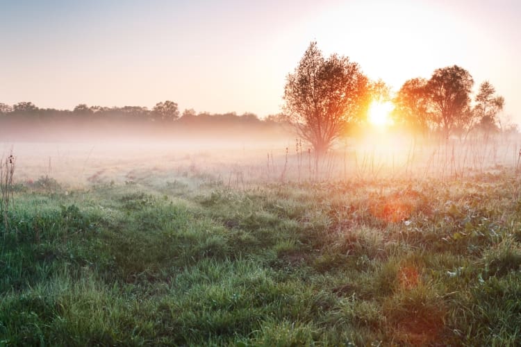 morning fog sunrise