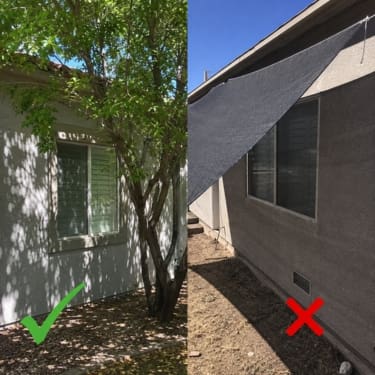 tree vs tarp