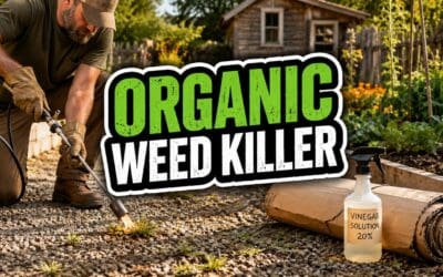 Organic Weed Killer – The Complete Guide to Every Method That Actually Works