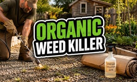 Organic Weed Killer &ndash; The Complete Guide to Every Method That Actually Works