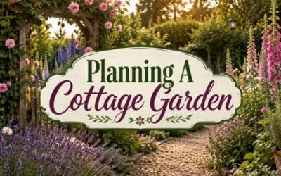 Planning a Cottage Garden – A Practical Guide from My Own Backyard