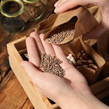 seeds