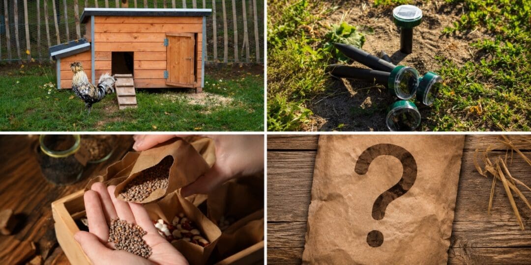 11 Scam Items Homesteaders Fall For