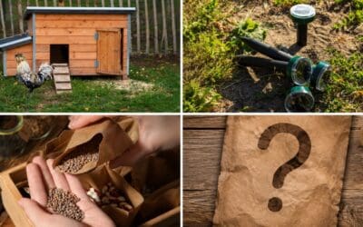 11 Scam Items Homesteaders Fall For