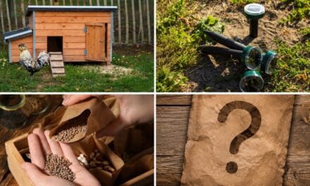 11 Scam Items Homesteaders Fall For