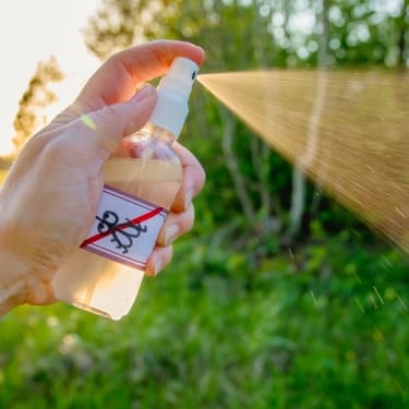 spray bottle anti bugs