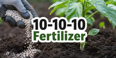 10-10-10 fertilizer
