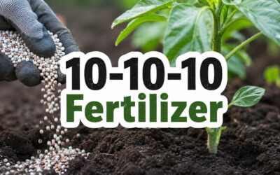 10-10-10 Fertilizer – The Complete Guide