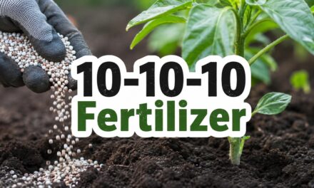 10-10-10 Fertilizer – The Complete Guide