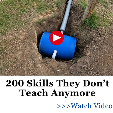 200 Skills They Don’t Teach Anymore