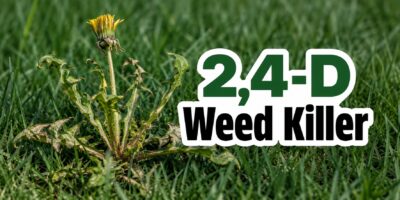 24d weed killer