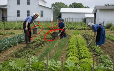 7 Natural Amish Soil Boosters You Can Make for Free