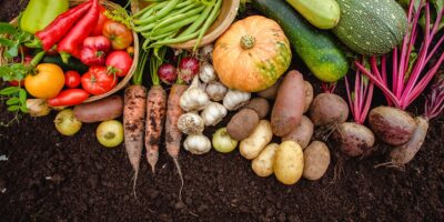 9 Vegetables That Grow Better in Fall Than Summer cover