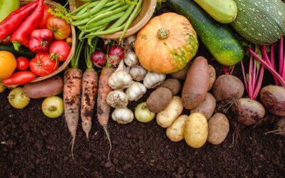 9 Vegetables That Grow Better in Fall Than Summer