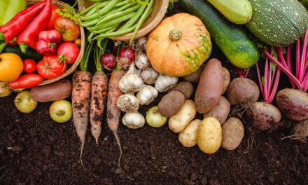 9 Vegetables That Grow Better in Fall Than Summer