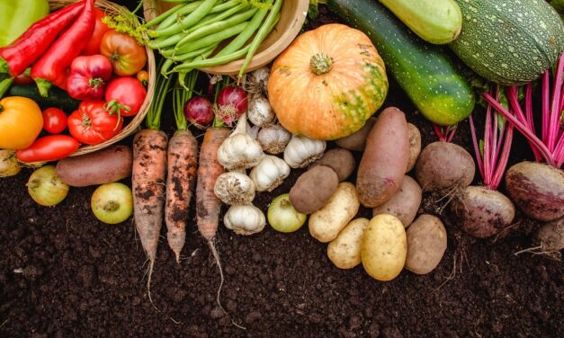 9 Vegetables That Grow Better in Fall Than Summer
