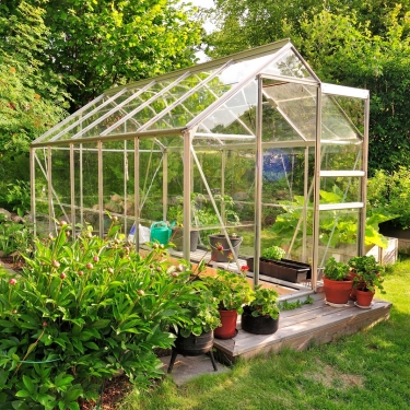little greenhouse