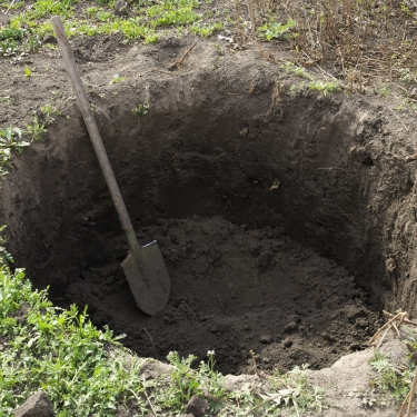 dig a hole in the garden